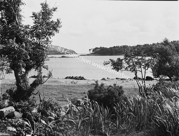 DISTANT VIEW OF DUNBOY CASTLE